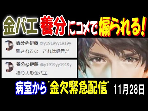 【金バエ】 病室から"金欠緊急配信"で【養分】にコメで煽られる!「養分と沖縄」「真央と住む」11月28日